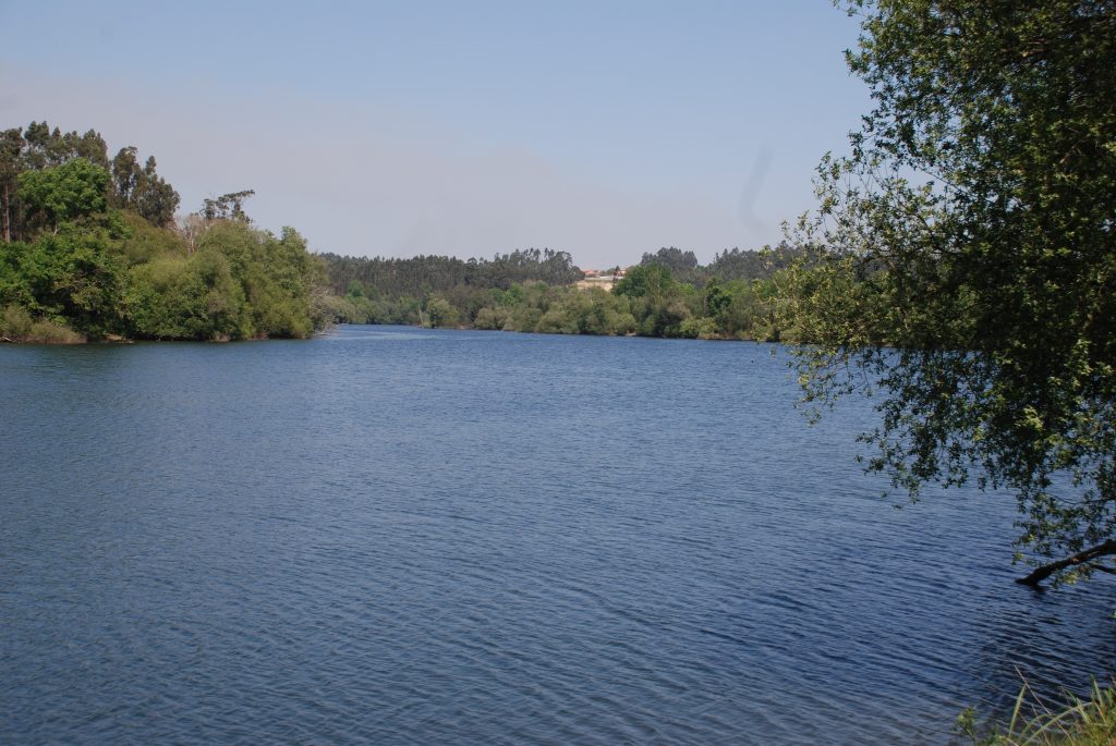 Rio Cávado Município De Barcelos 3672