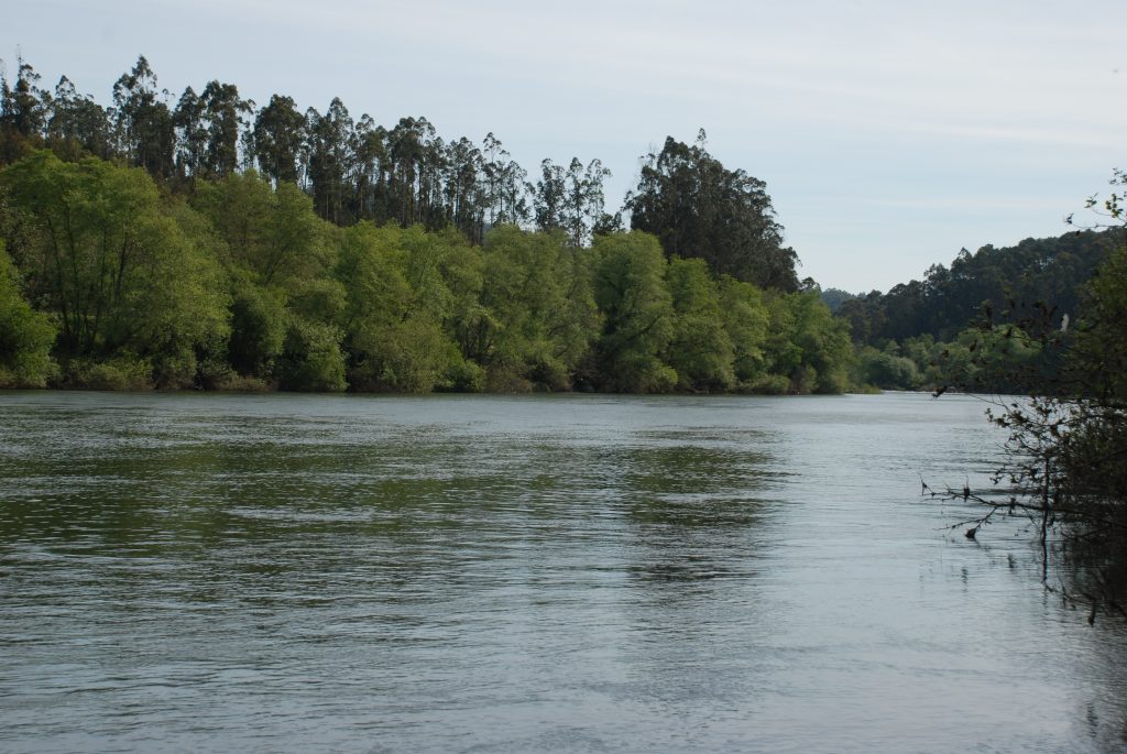 Rio Cávado Município De Barcelos 4142