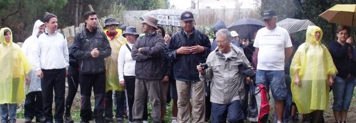 Conhecer os caminhos e telheiras de Barqueiros