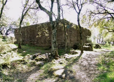 Castro e Castelo de Faria (Gilmonde/Pereira)