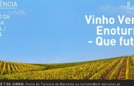 conferência “vinho verde e enoturismo – que fut...