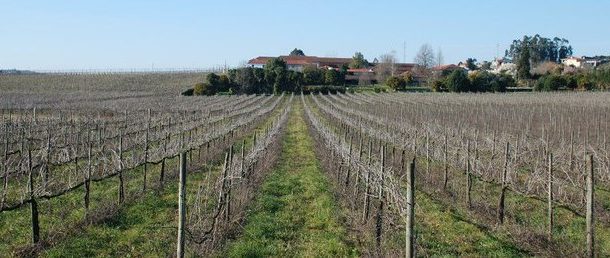 município assinala dia mundial do turismo com p...