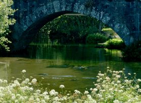 Ponte de Anhel (Alheira) Século XIII