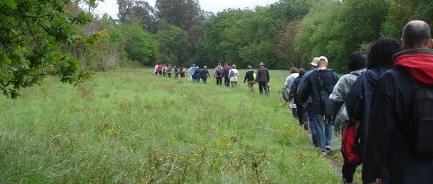 caminhar para conhecer… os moinhos de vento