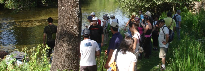 Fim-de-semana activo mostrou dinamismo e riqueza do concelho