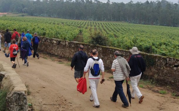 programa “caminhar para conhecer barcelos” real...