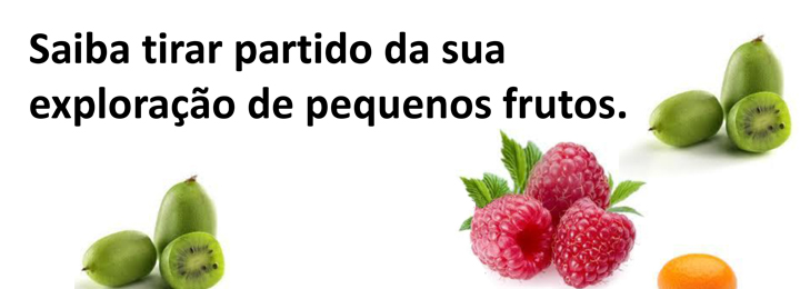 Seminário sobre exploração de pequenos frutos