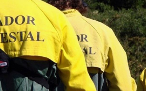 barcelos vai ter nova equipa de sapadores flore...