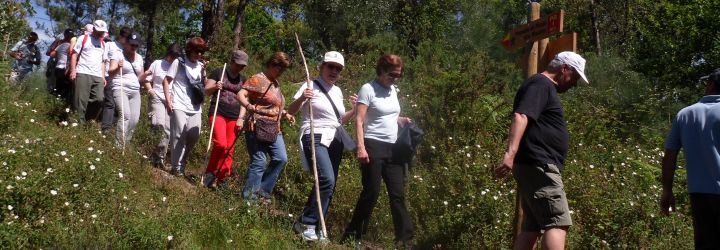 Caminhada pelo percurso paisagístico, ambiental e arqueológico de Arefe e Vale do Neiva