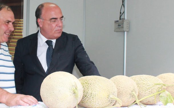 município promoveu melão casca de carvalho numa...