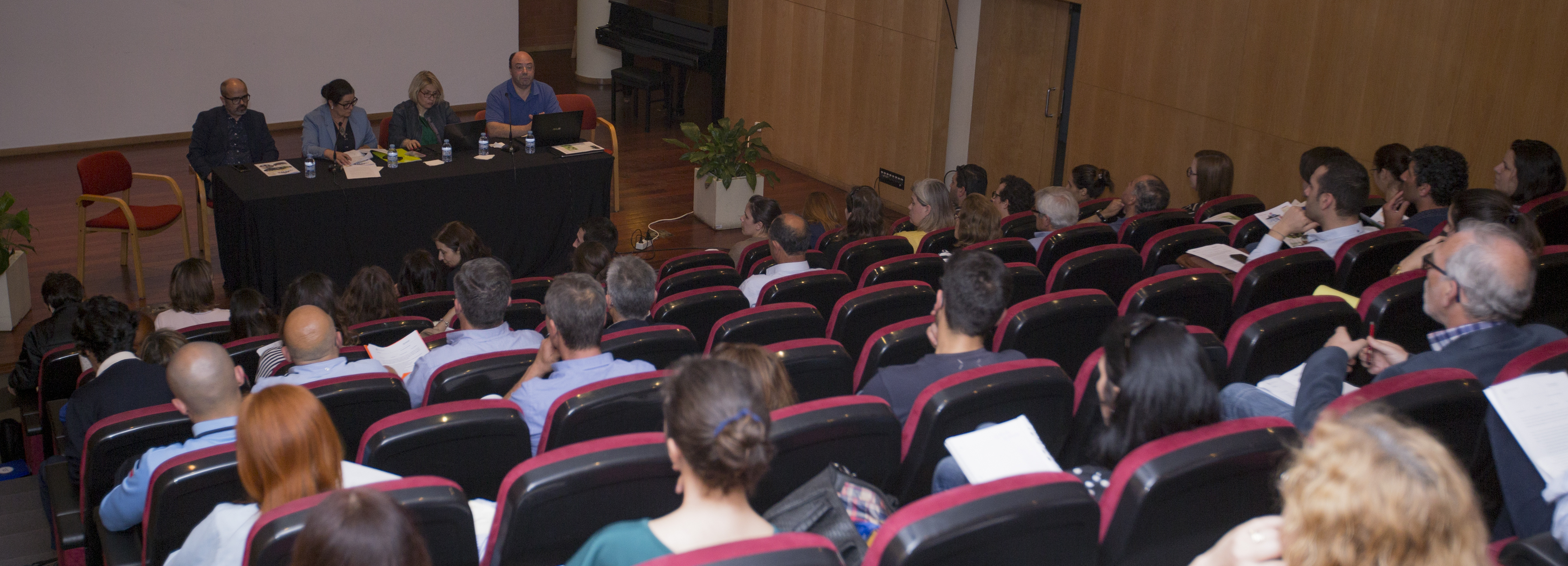 Conselho Local de Ação Social de Barcelos reuniu esta semana