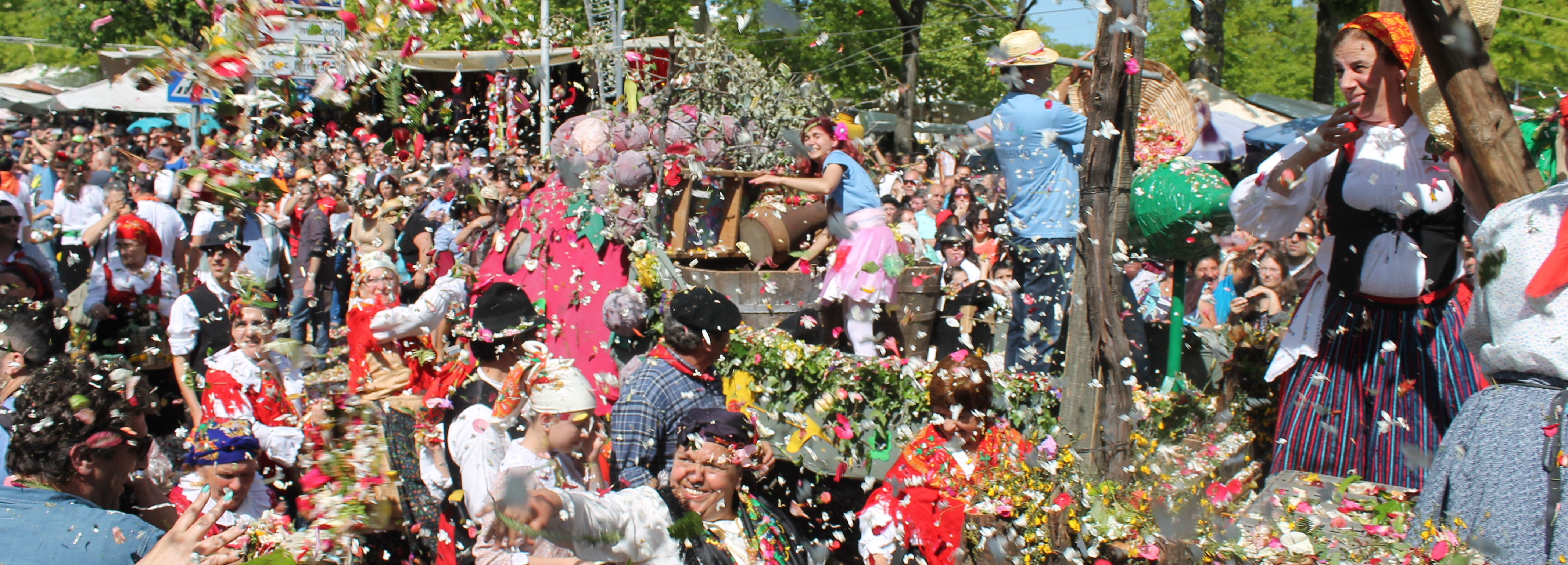 Festa das Cruzes atrai milhares de pessoas a Barcelos