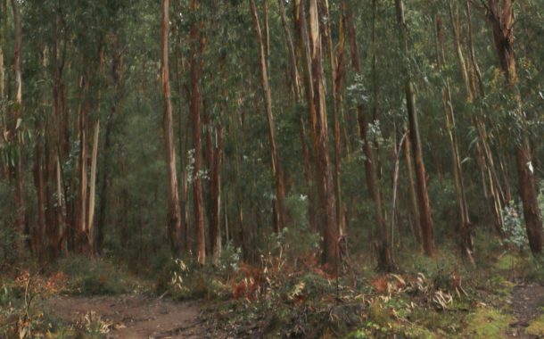 município vai ter acesso a dados dos prédios e ...