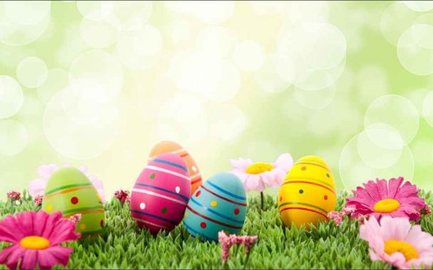 barcelos promove programação diversificada para...