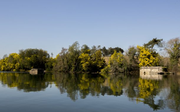 câmara municipal cria seis ancoradouros no rio ...