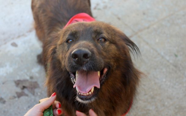 câmara de barcelos proporciona condições para a...