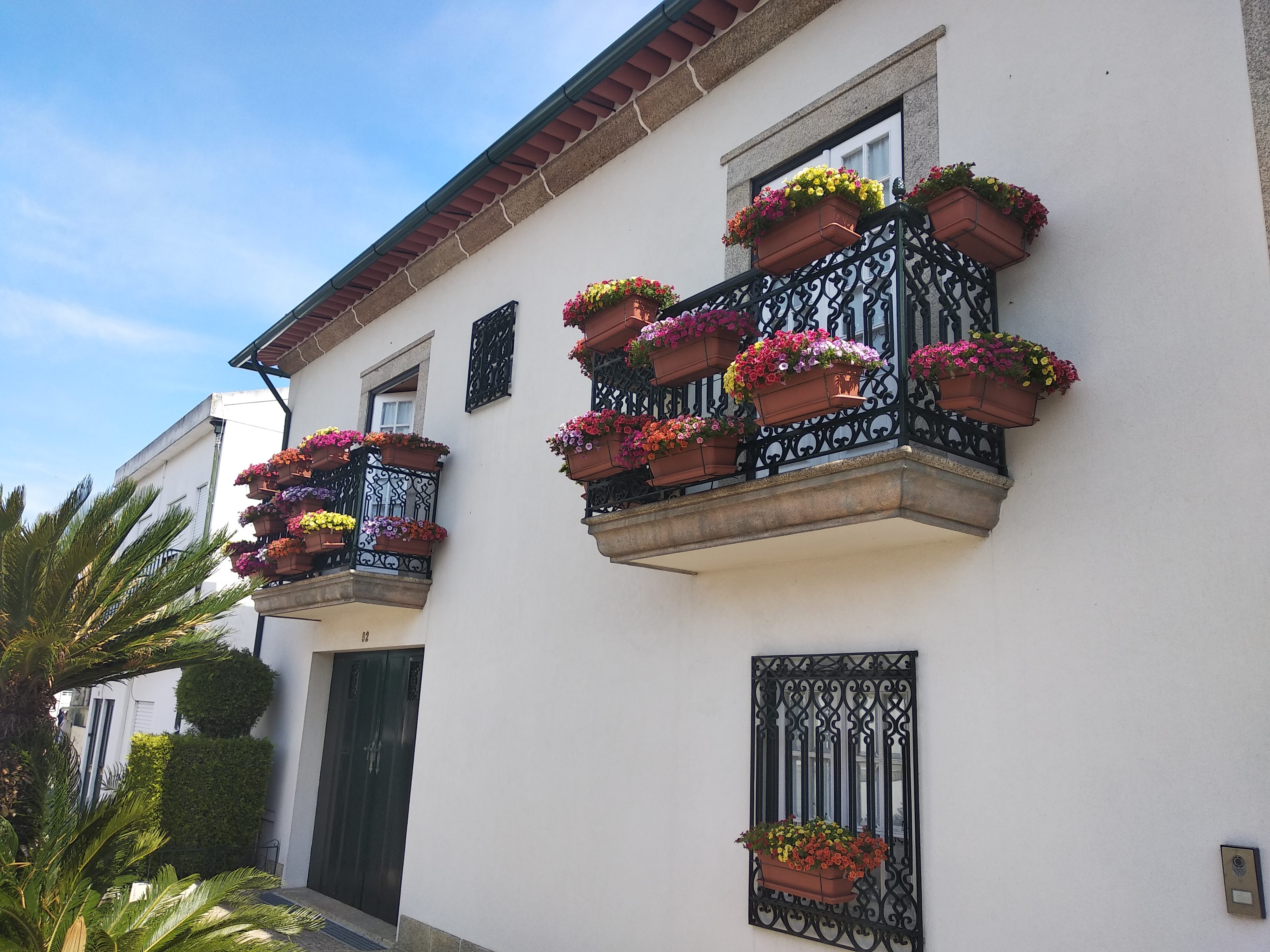 Concurso Barcelos Florido com grande número de participantes