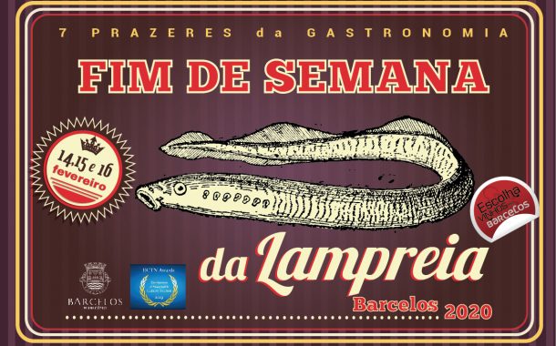 município de barcelos continua a apostar na pro...