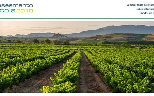 recenseamento agrícola 2019