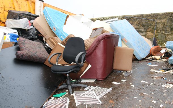 entrega de “monstros domésticos” no parque de v...