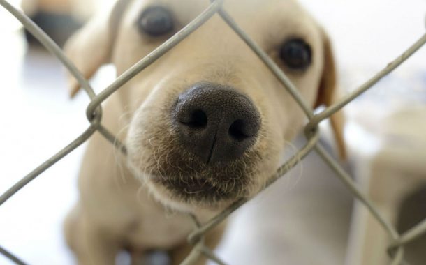 câmara municipal adjudica obra de construção do...