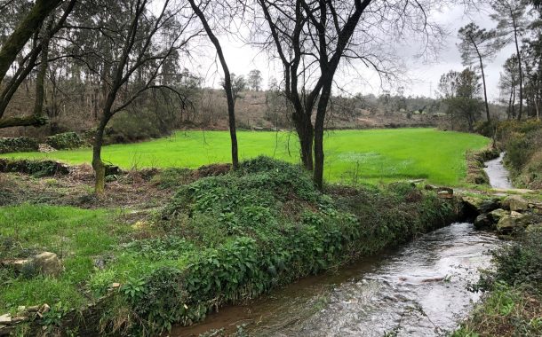 câmara municipal adjudica obra do parque de apo...