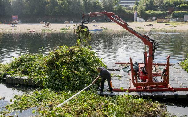 limpeza do rio cávado já começou