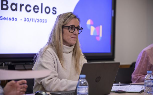 conselho municipal da juventude aprova plano de...