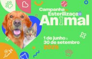 Barcelos lança campanha de esterilização animal com apoio financeiro