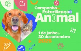 barcelos lança campanha de esterilização animal...