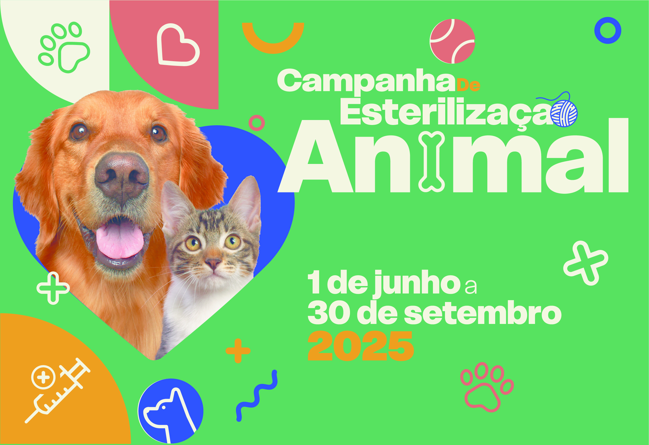 Barcelos lança campanha de esterilização animal com apoio financeiro