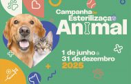 barcelos lança campanha de esterilização animal...