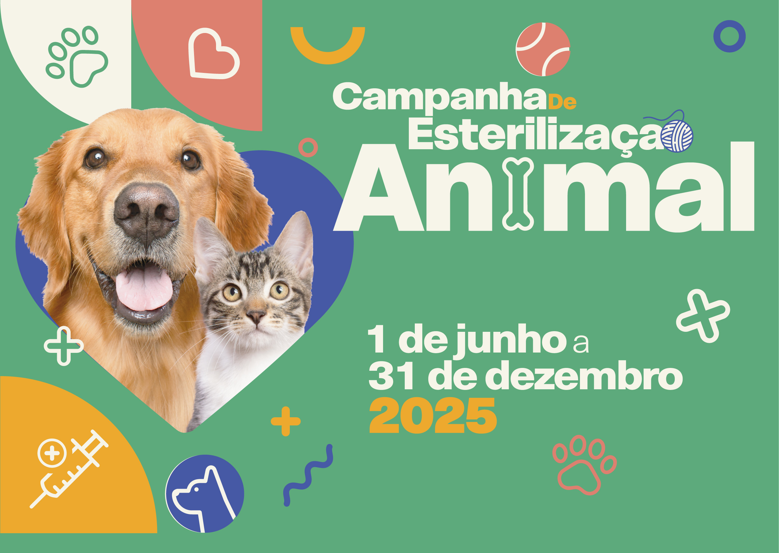 Barcelos lança campanha de esterilização animal com apoio financeiro
