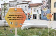 Município de Barcelos lança iniciativa “Barcelos Poliniza” para proteger os polinizadores e promover a biodiversidade