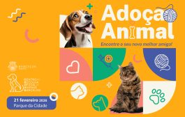 município de barcelos promove feira de adoção a...