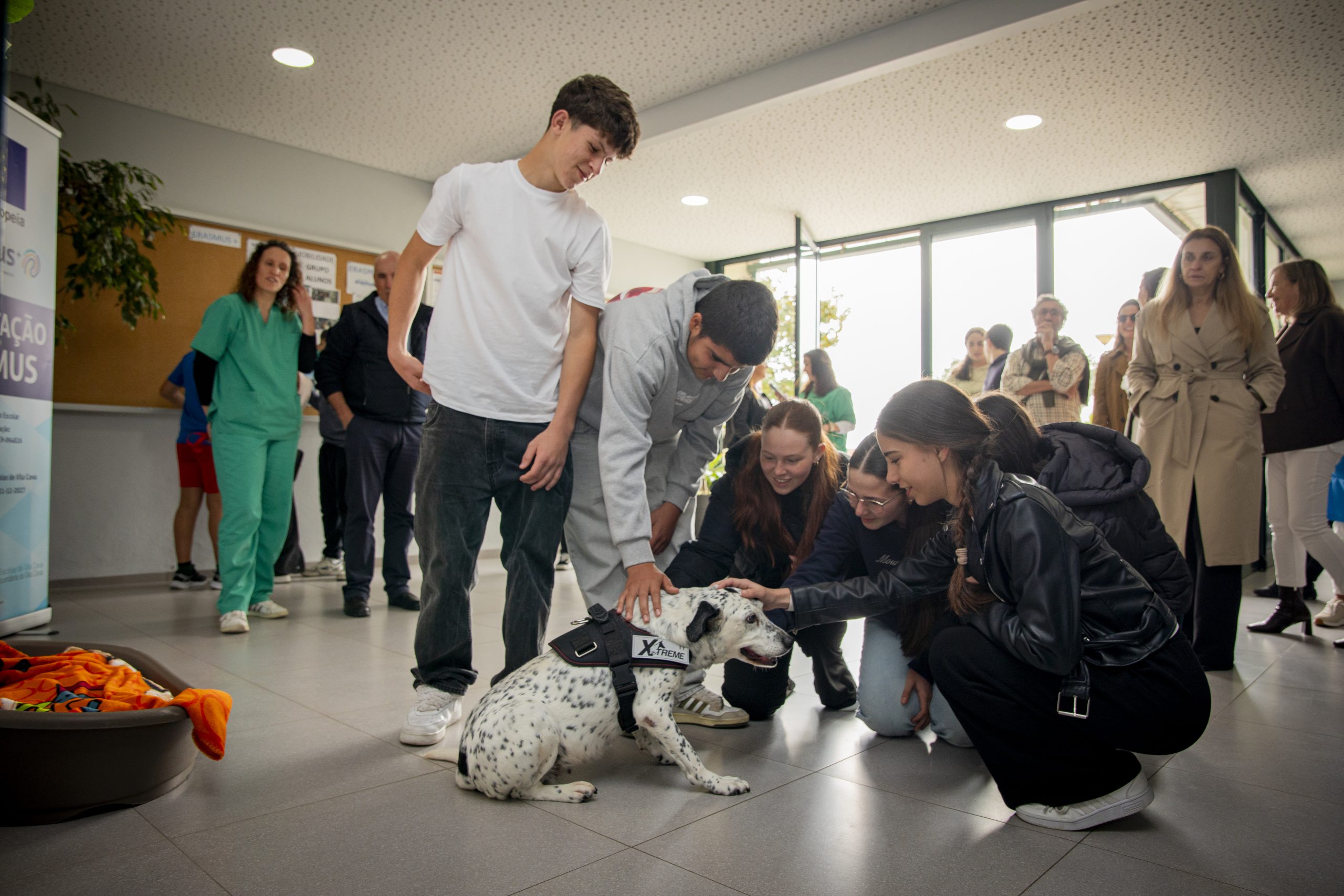 Escola de Vila Cova acolhe a cadela Pintinhas